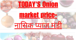 Today's Onion market price-नासिक प्याज मंडी