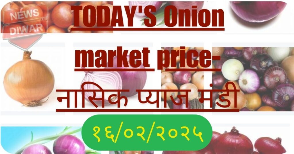 TODAY'S Onion market price