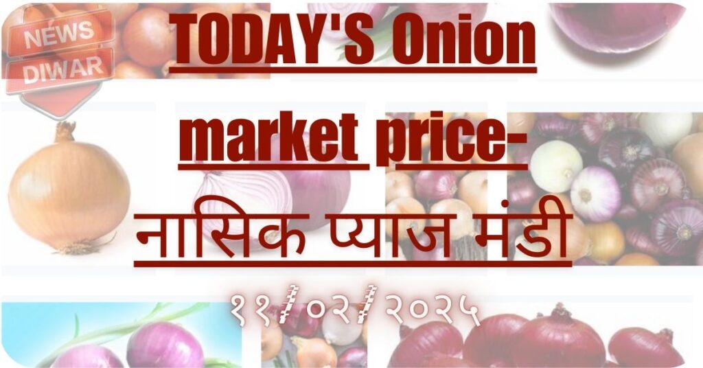 Today's Onion market price:प्याज मंडी-महाराष्ट्र