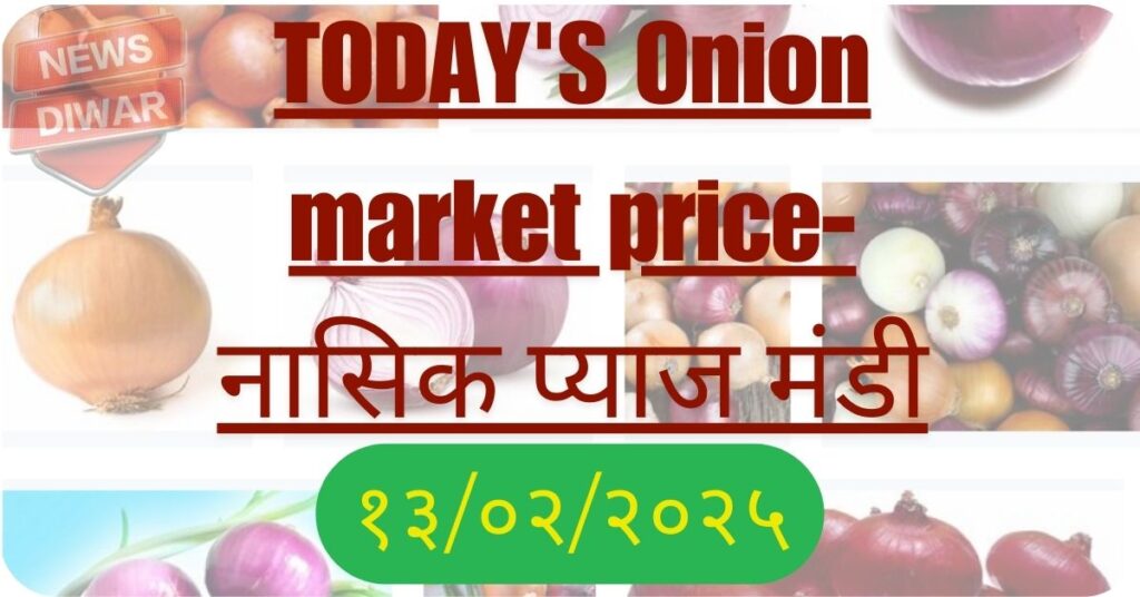 Today’s Onion market price