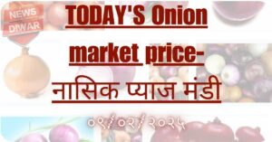 Nashik onion