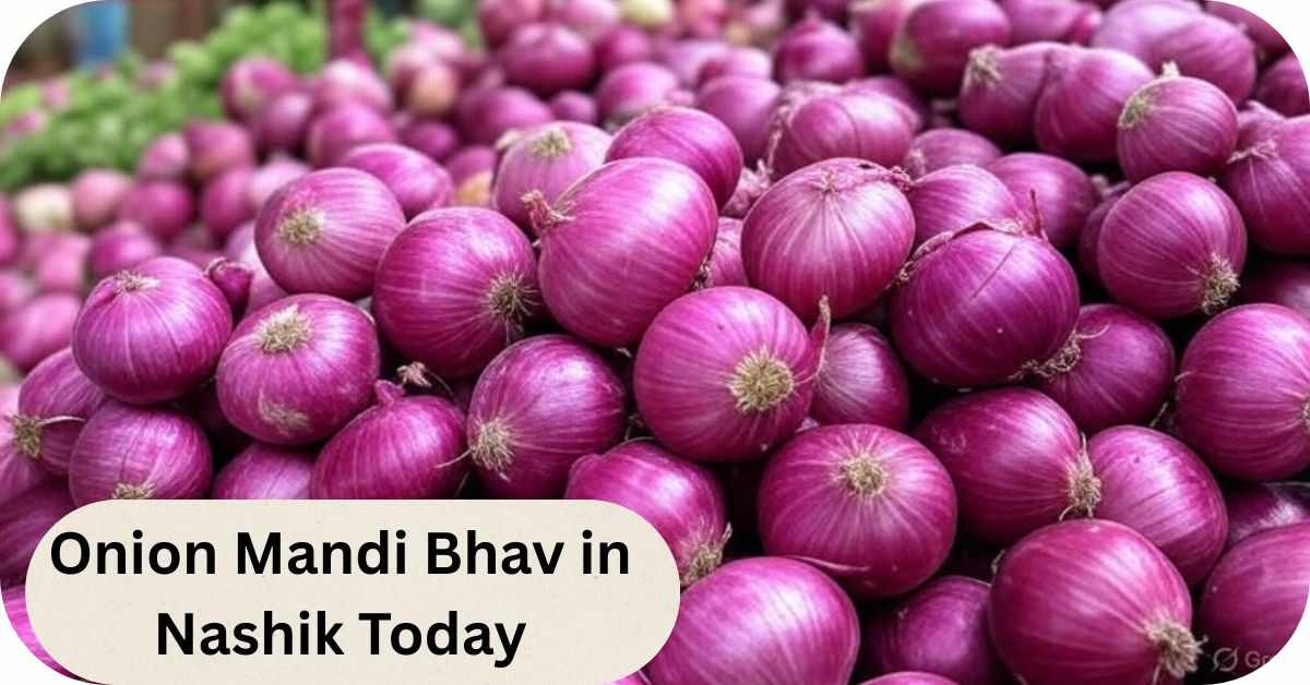 Onion Mandi Bhav in Nashik Today
