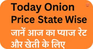 Today Onion Price State Wise
