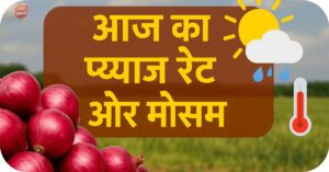 Onion Rate and Weather Today