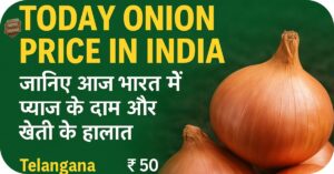 Today Onion Price in India- जानिए आज भारत में प्याज के दाम