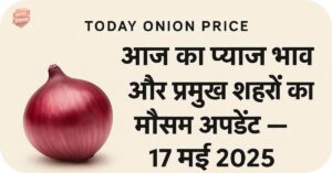 Today Onion Price- भारत में आज का प्याज भाव