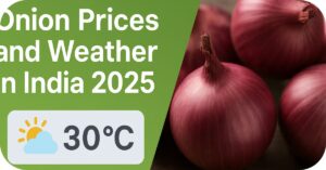 Onion Prices and Weather in India 2025